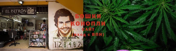 дурь Алзамай