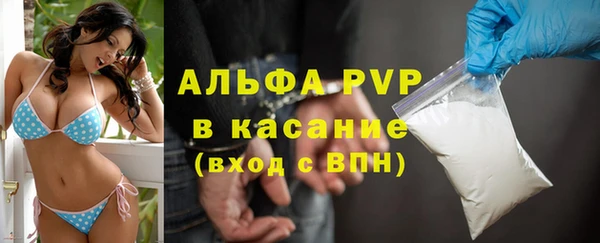 хмурый Алексин