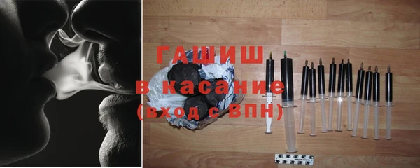 хмурый Алексин