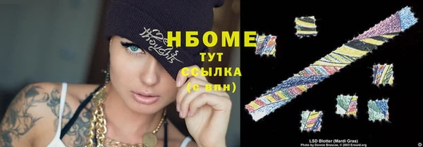 хмурый Алексин