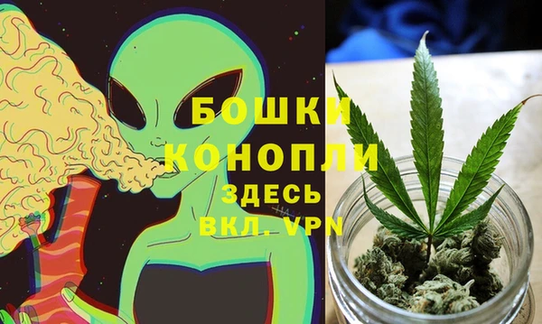 дурь Алзамай