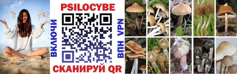 купить  сайты  Котельнич  Галлюциногенные грибы Psilocybine cubensis 